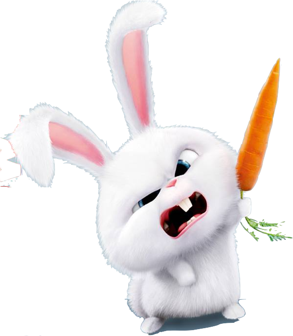 Angry White Bunny Carrot Stick