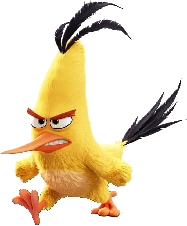 Angry Yellow Bird Cartoon Character