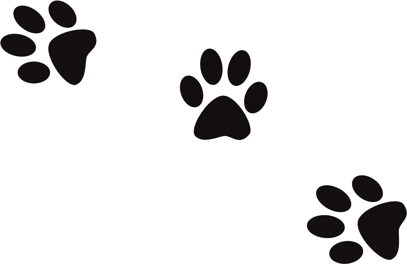 Animal Paw Prints Pattern