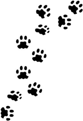 Animal Paw Prints Pattern