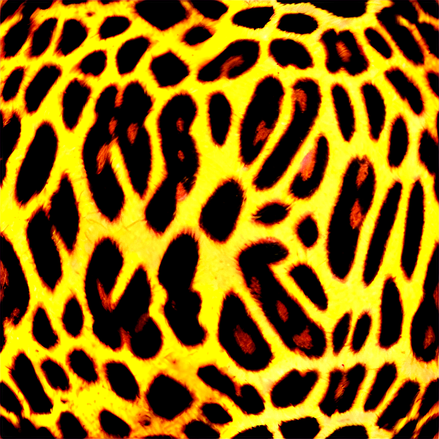 Animal Print Pattern Design Png 06282024