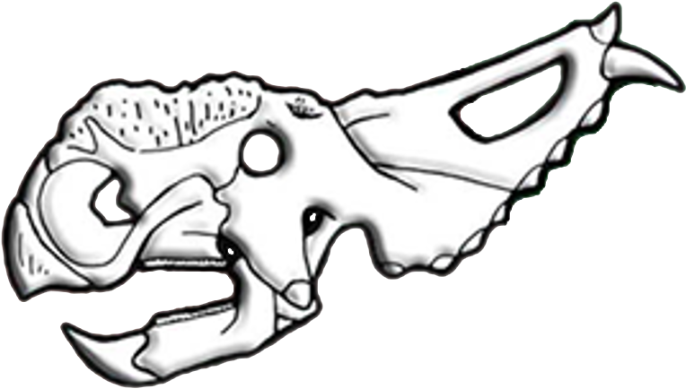 Animal_ Skull_ Illustration.png