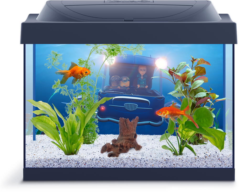 Animated Character Aquarium Scene