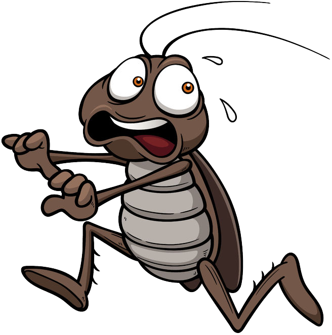 Animated Cockroach Character