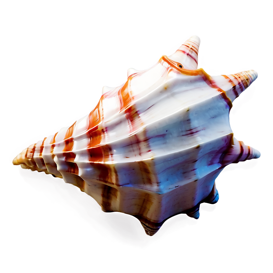 Animated Conch Shell Png 06132024