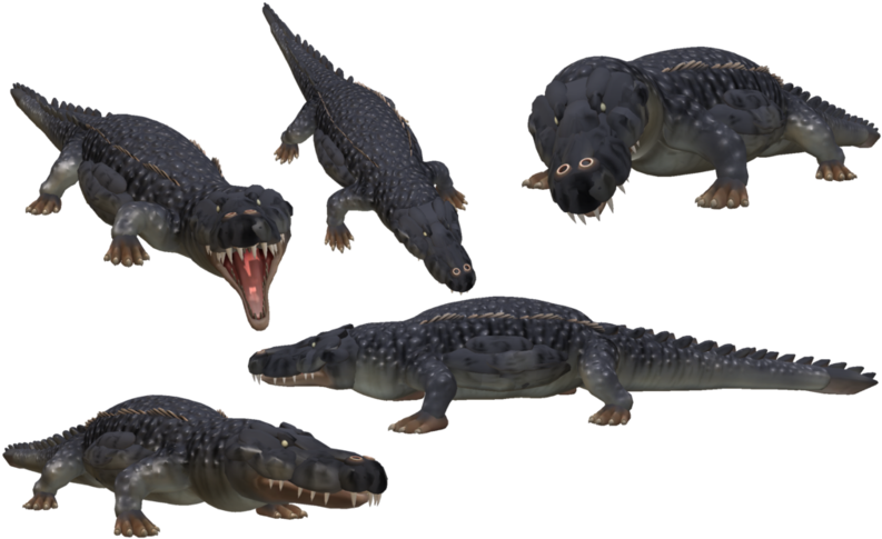 Animated_ Crocodile_ Poses