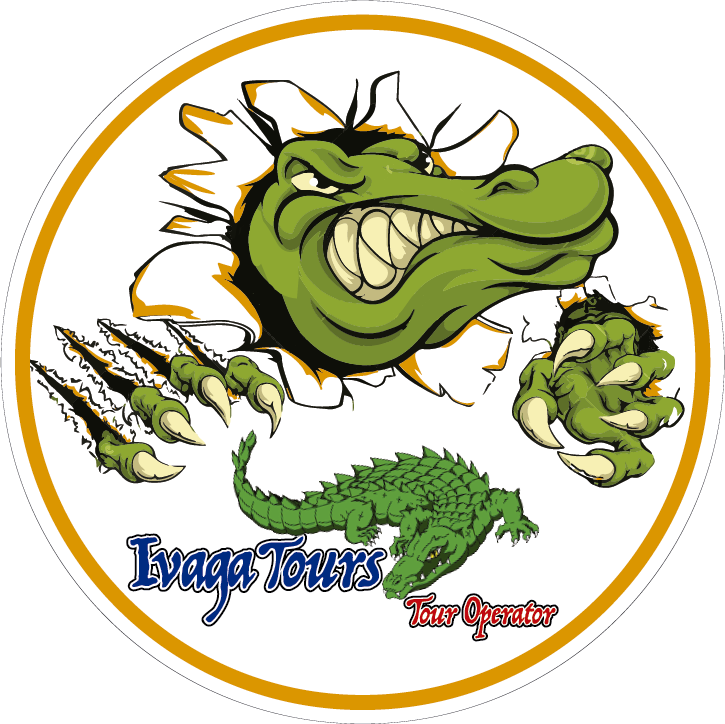 Animated Crocodile Tour Operator Logo