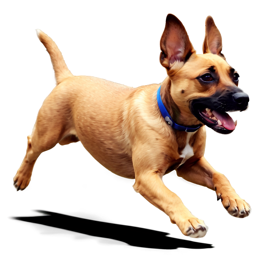 Animated Dog Running Png 55