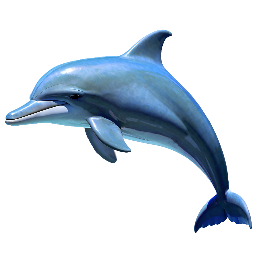 Animated Dolphin Png 10