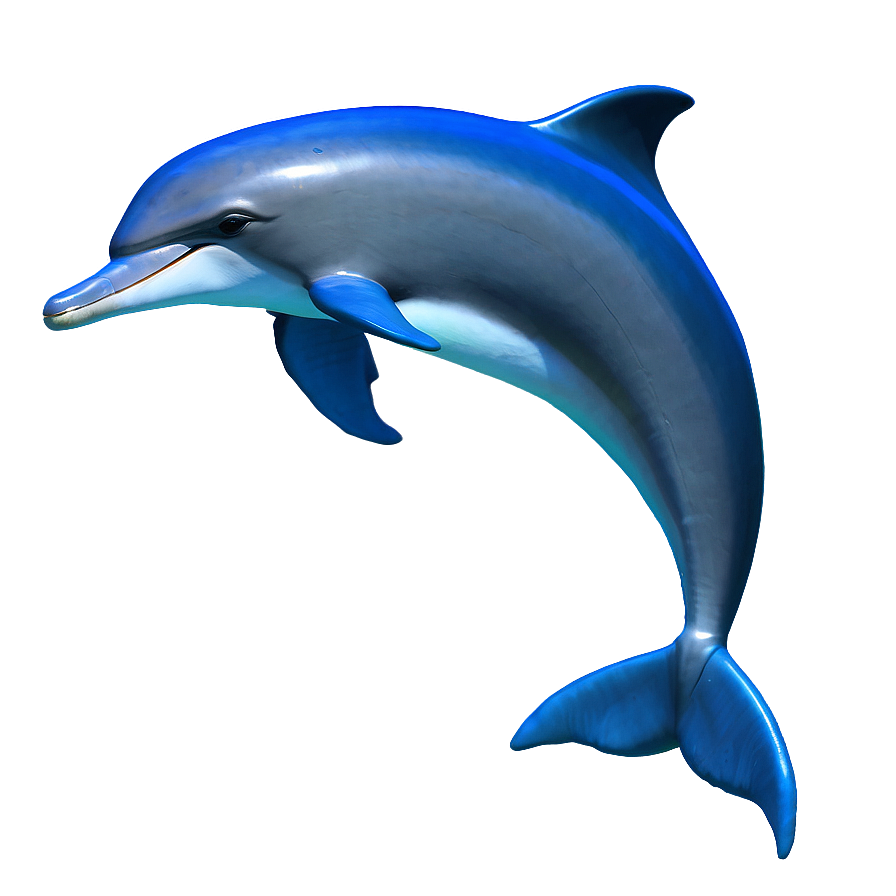 Animated Dolphins Png Umh