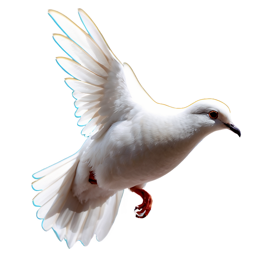 Animated Dove Png 92