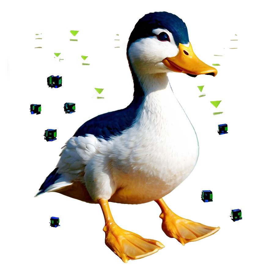 Animated Duck Gifs Png Nrp43