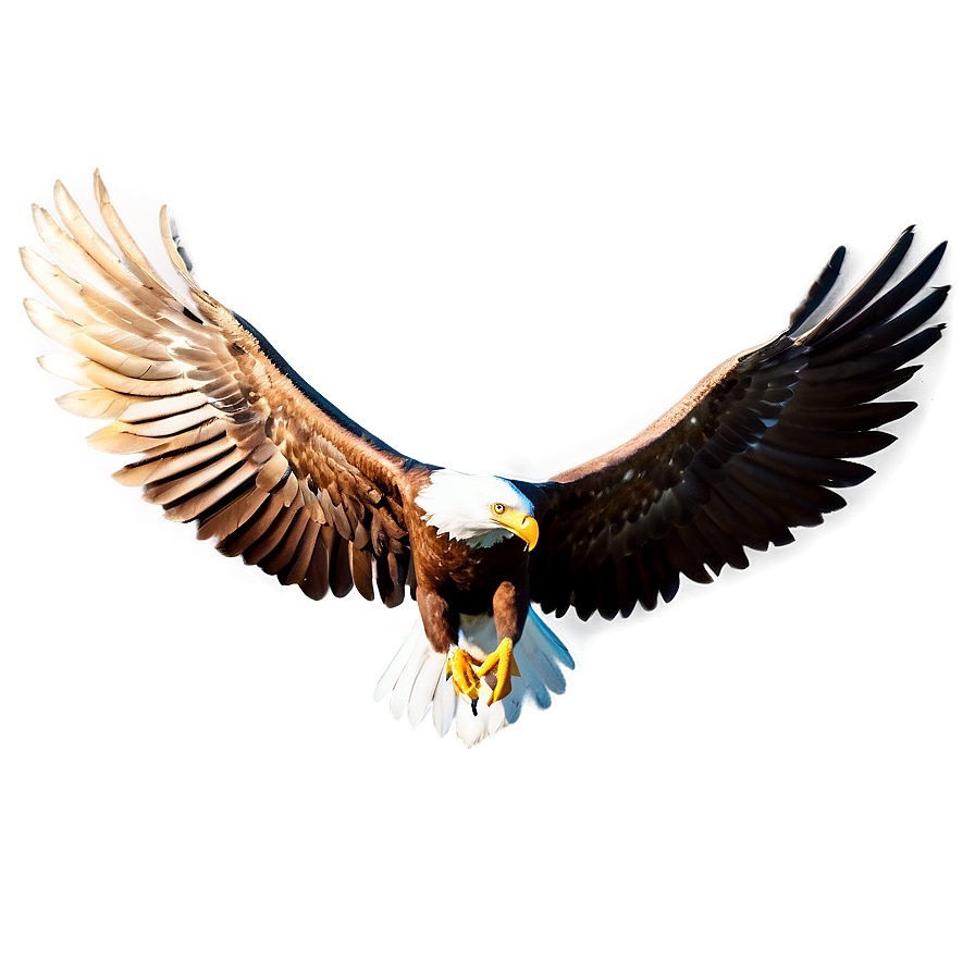 Animated Eagle Wings Png Duv56