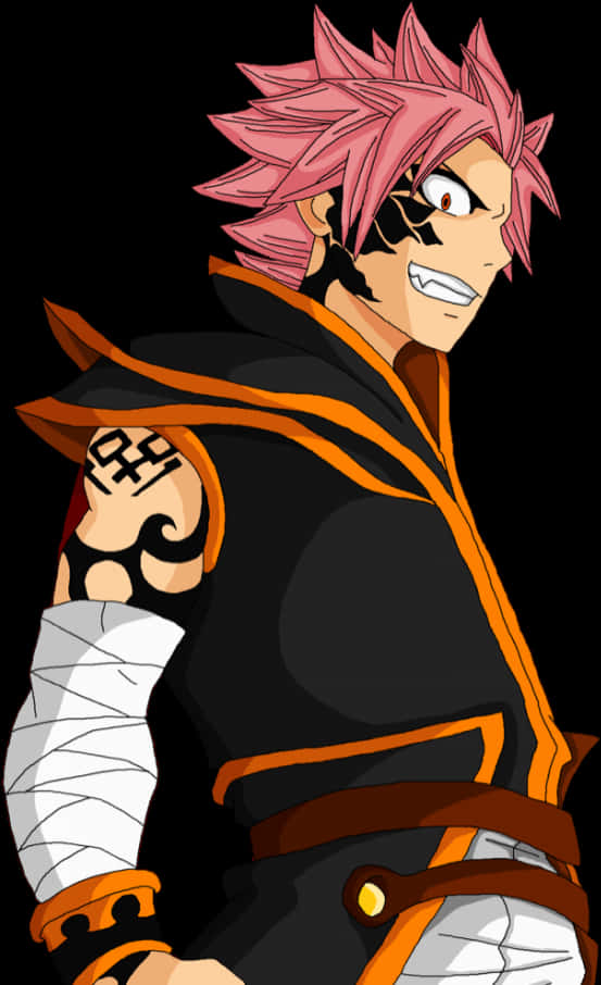 Animated Fire Mage Natsu