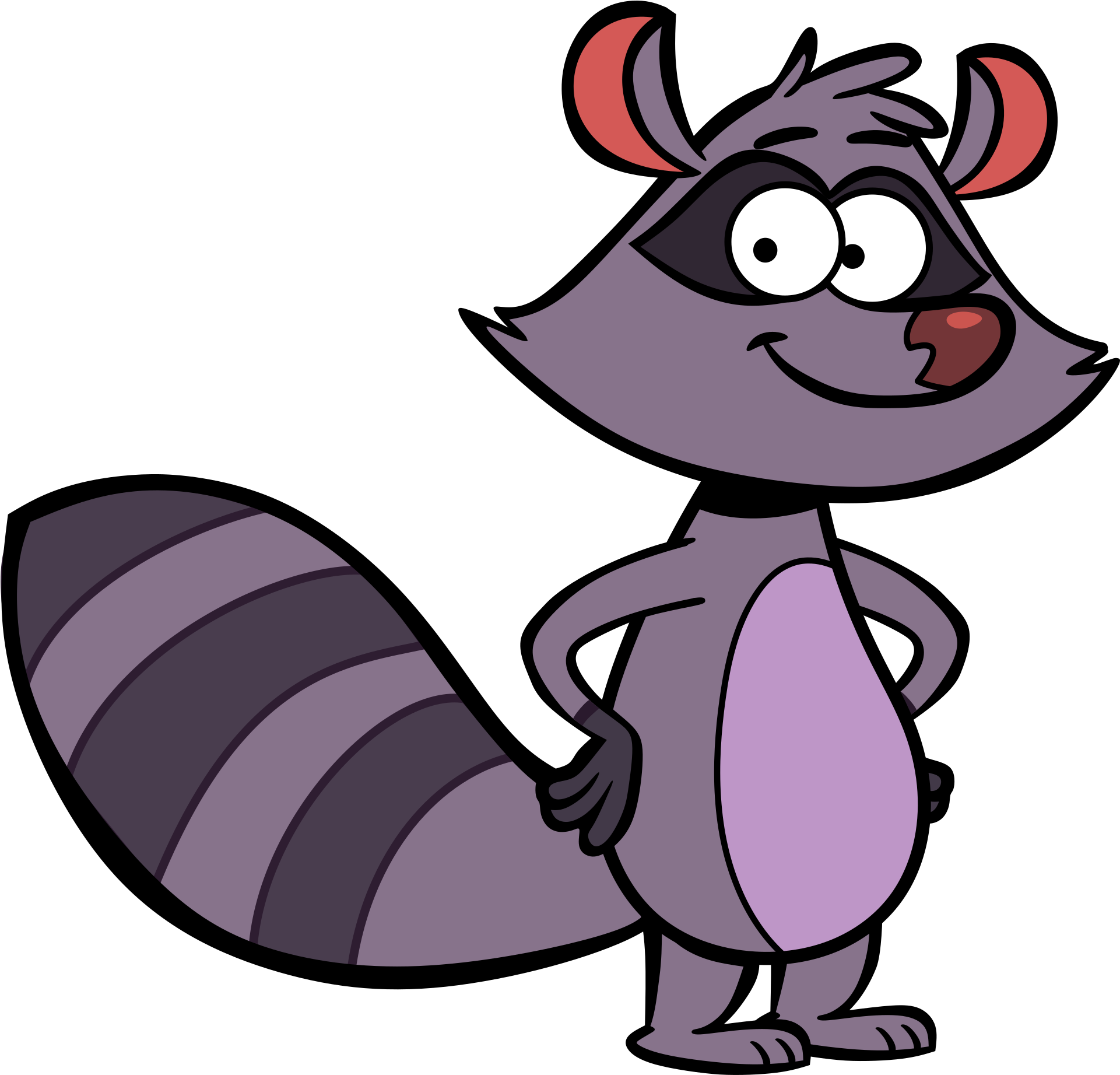 Animated Raccoon Character