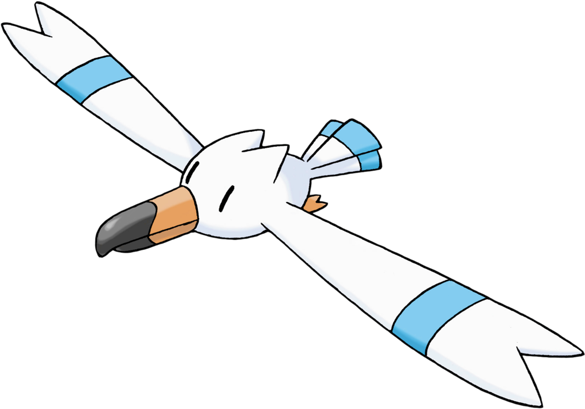 Animated Seagull In Flight