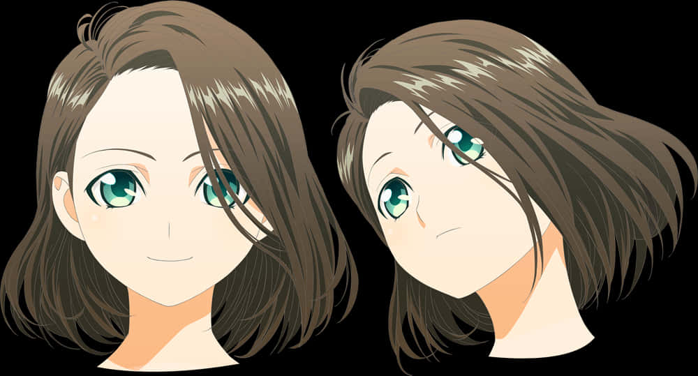 Animated Twin Faces Comparison