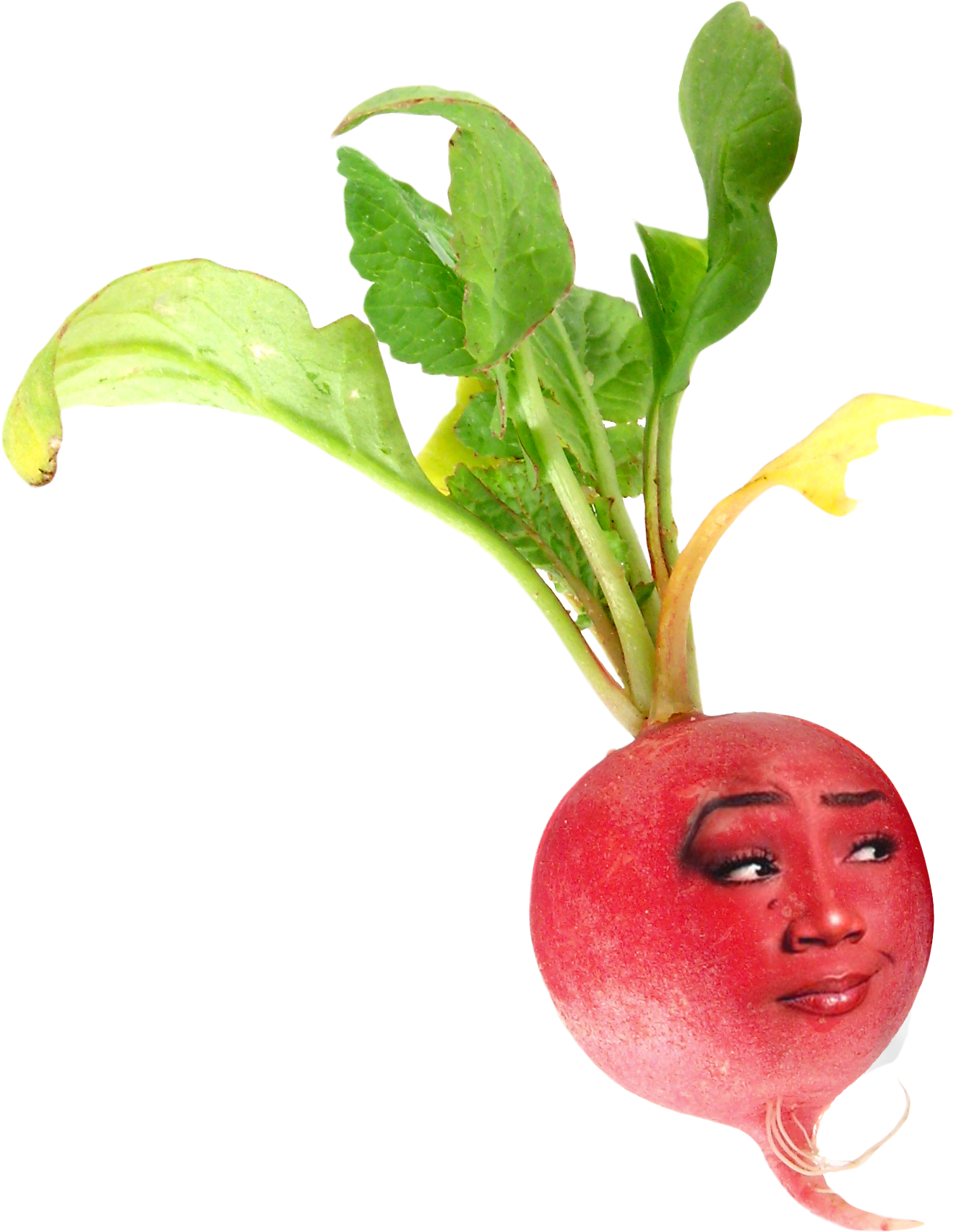 Anthropomorphic Red Radish