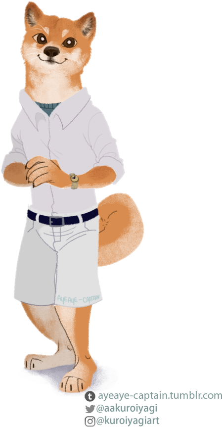 Anthropomorphic Shiba Inu Cartoon Character