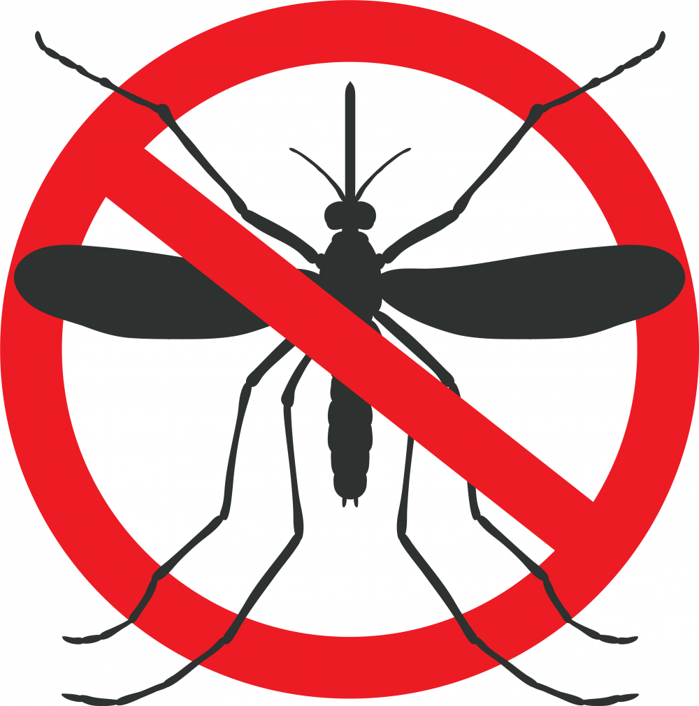 Anti Mosquito Sign Graphic