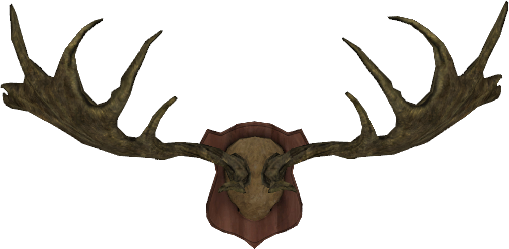 Antlered Skull Wall Mount