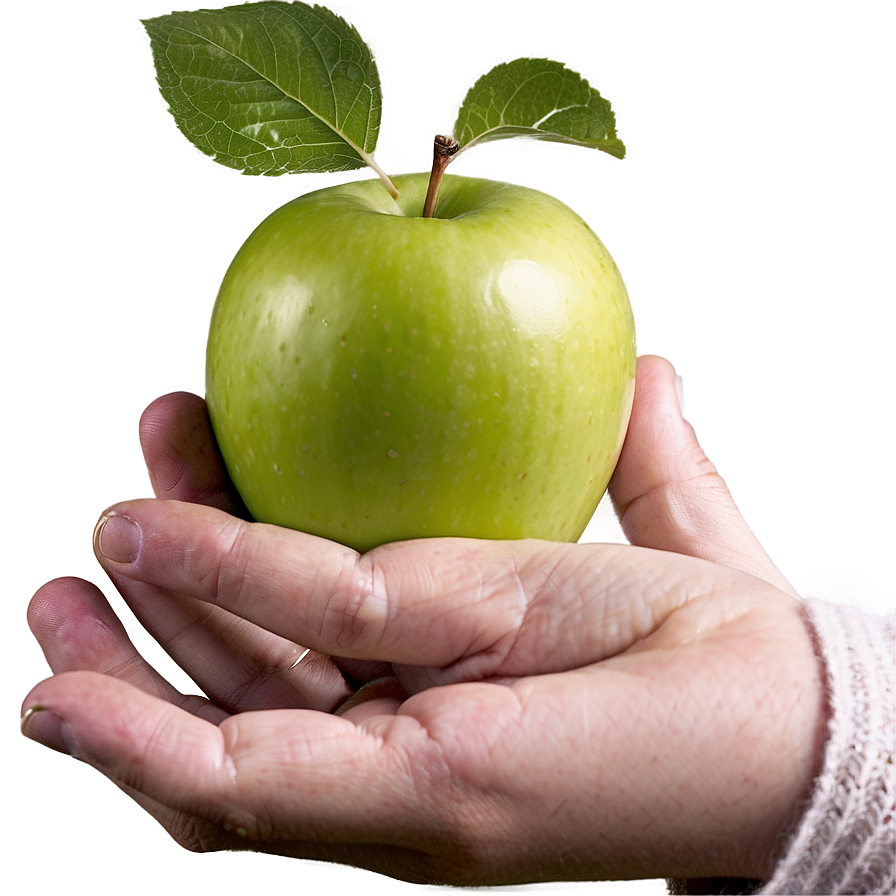 Apple In Hand Png 54