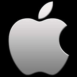 Apple Logo Icon Silver