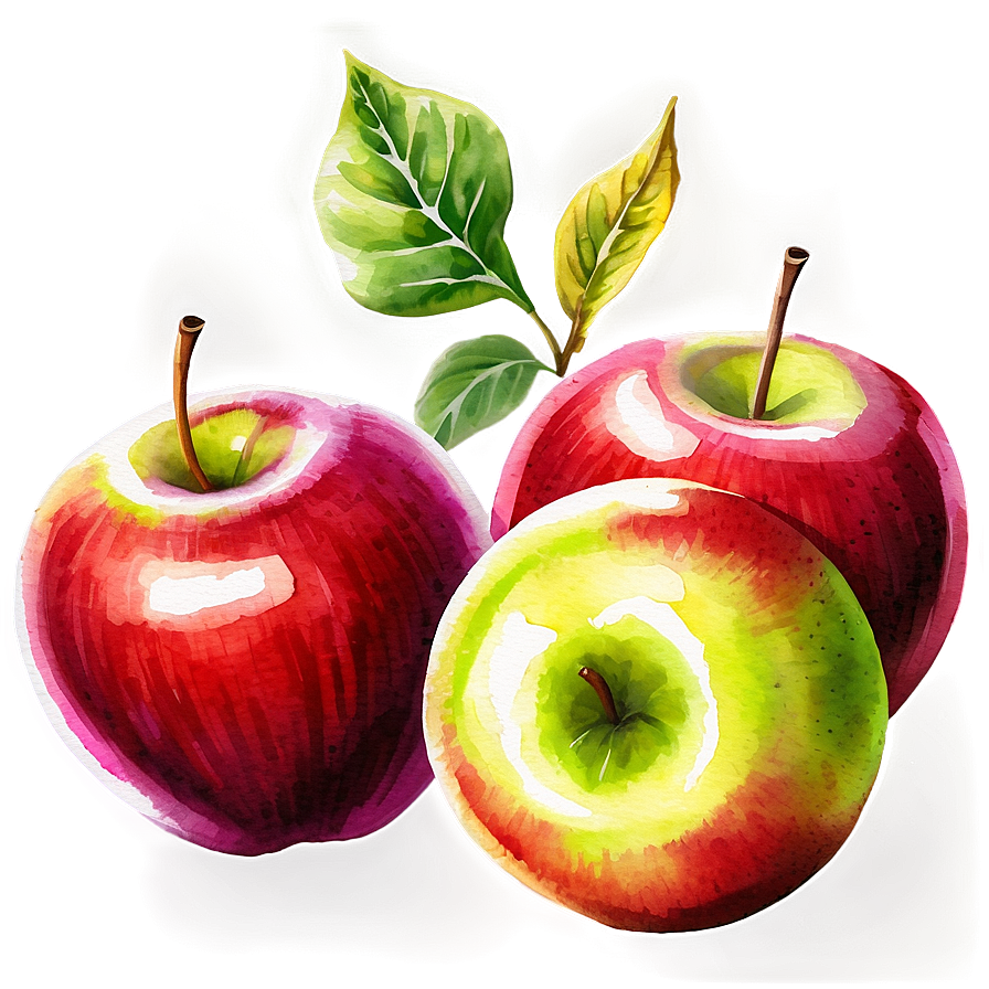 Apple Watercolor Png 06132024