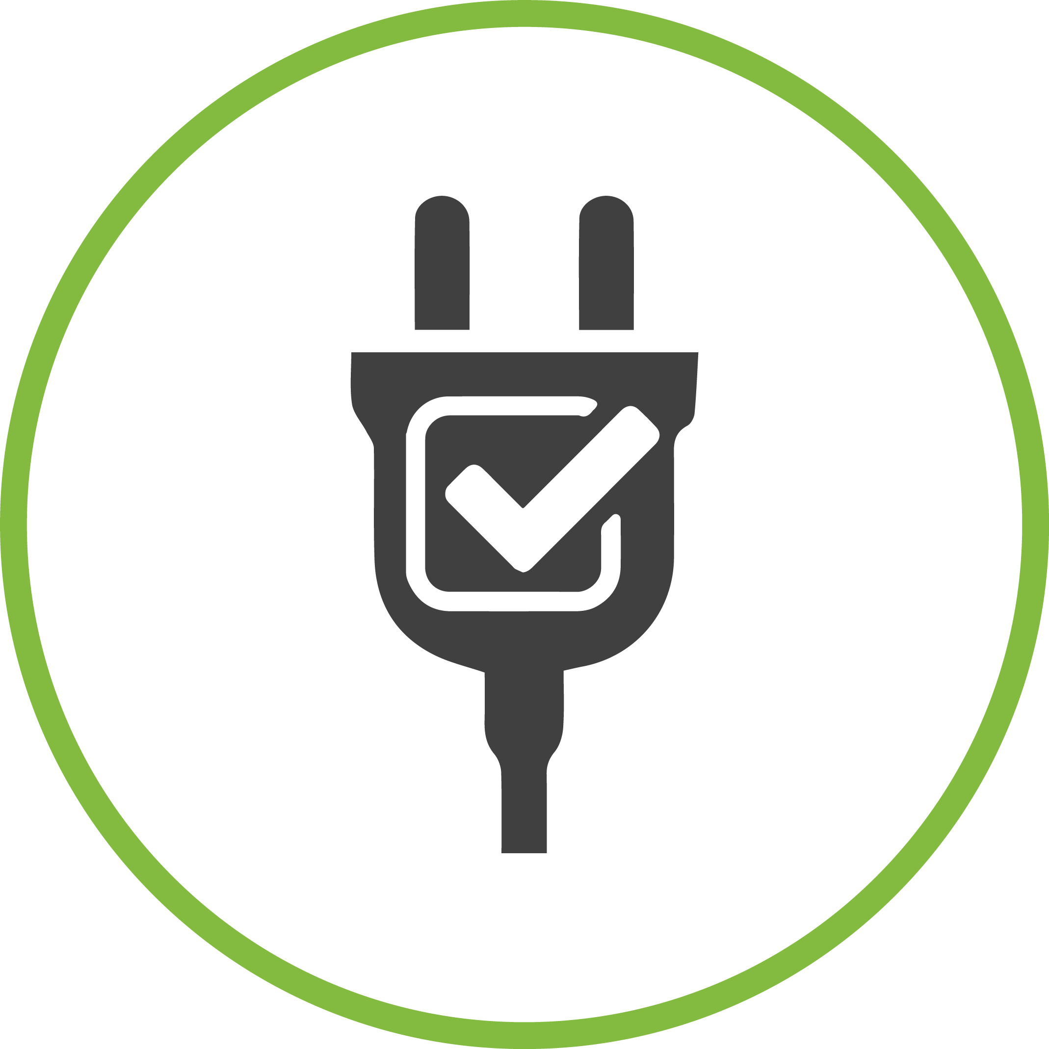 Approved Electrical Plug Icon