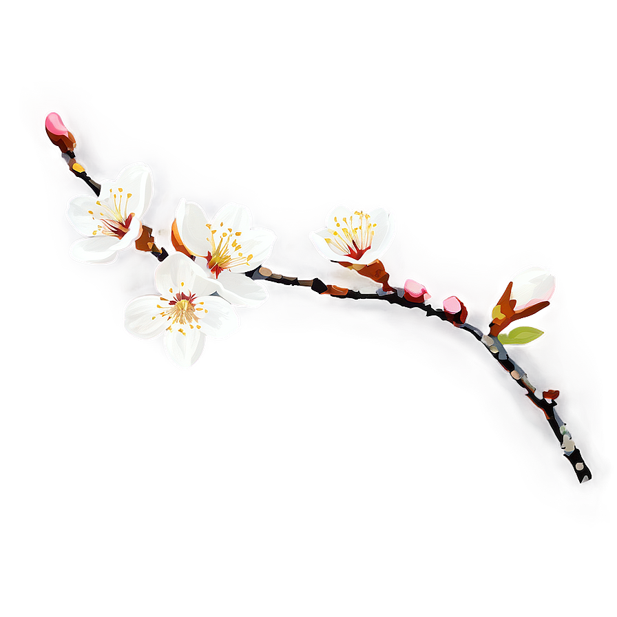 Apricot Blossom Flower Png Bdb95