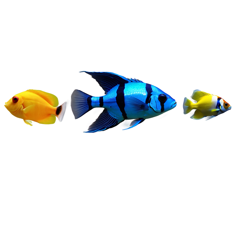 Aquarium Fish Png Gtt