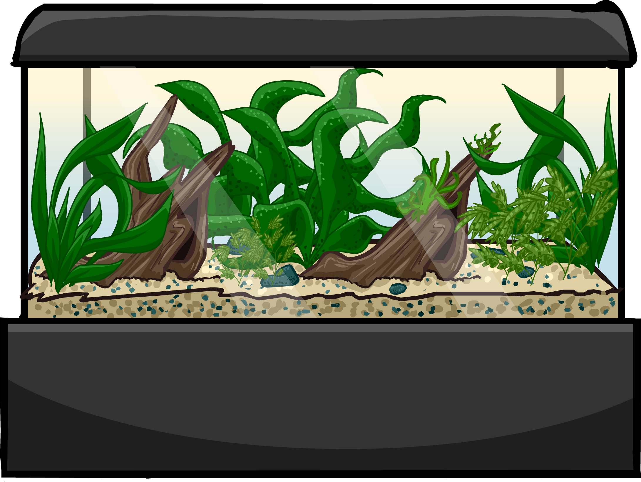 Aquarium Plantsand Driftwood Setup.png