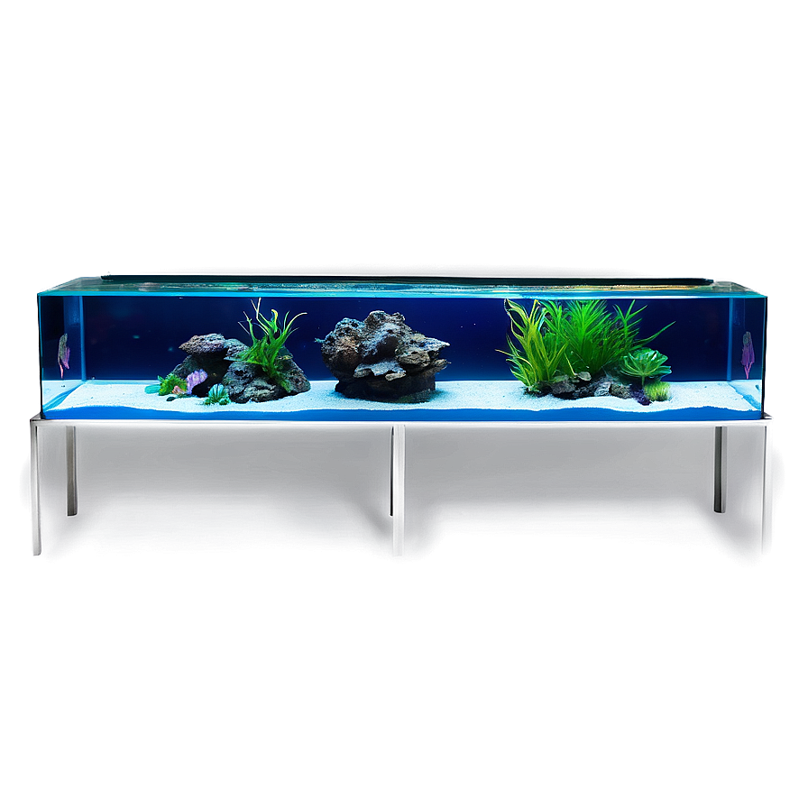 Aquarium Setup Png 78