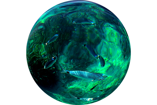 Aquatic Sphere Fish Environment