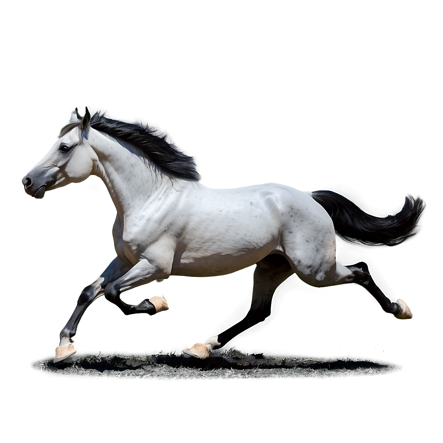 Arabian Horse Running Elegance Png 70