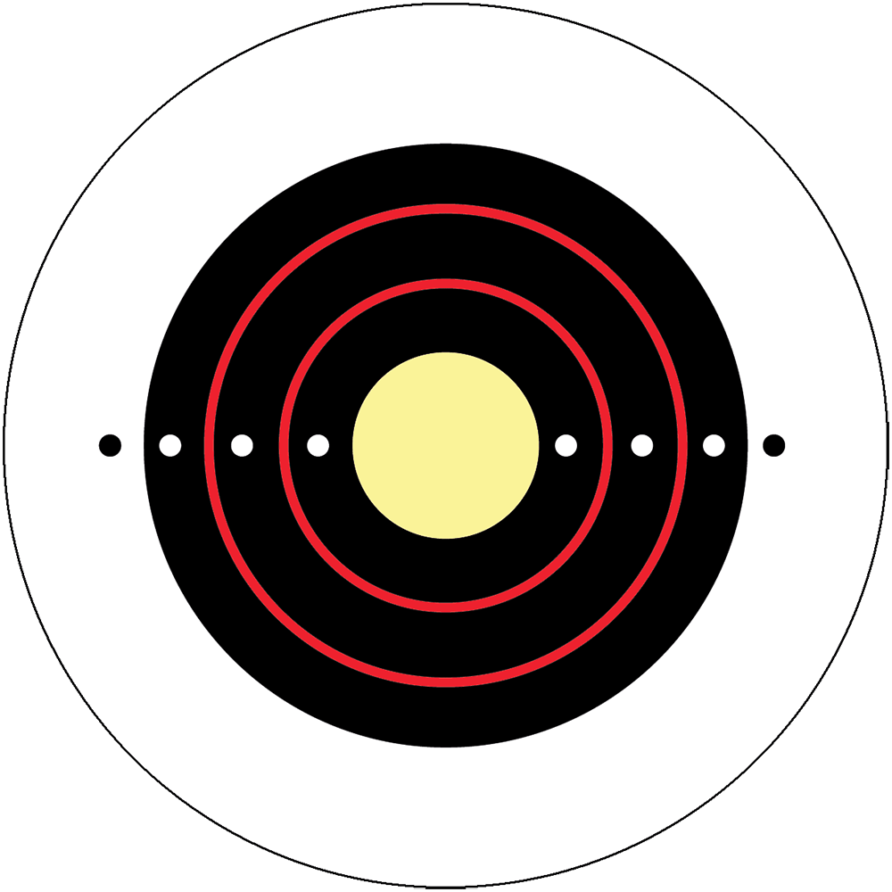 Archery Targetwith Arrows