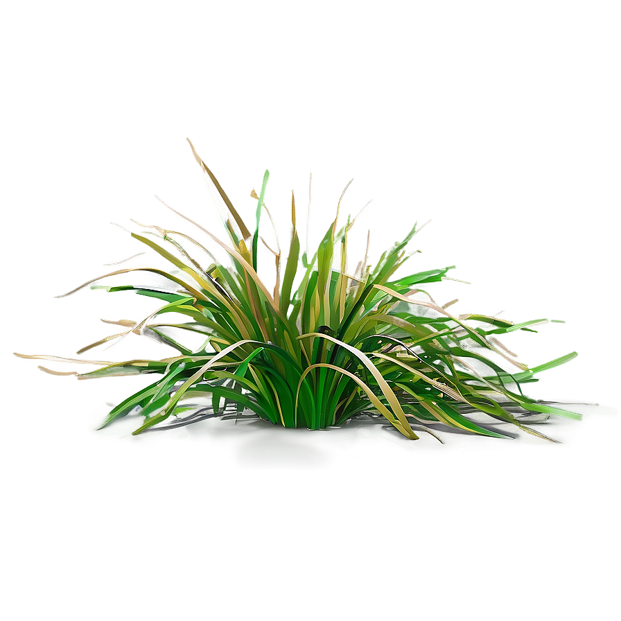 Architectural Grass Png 17