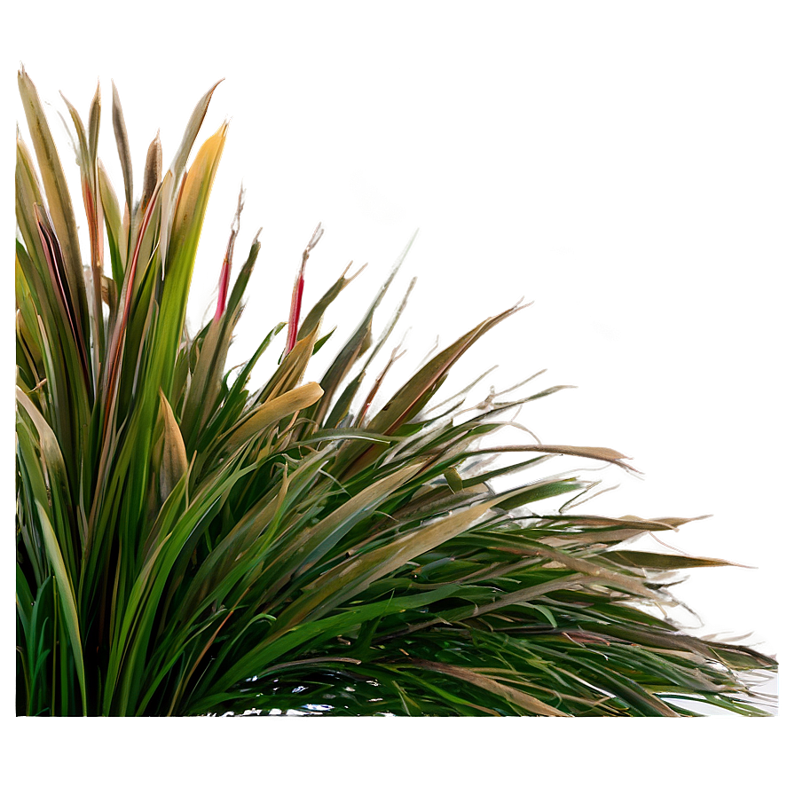 Architectural Grass Png Ooa65