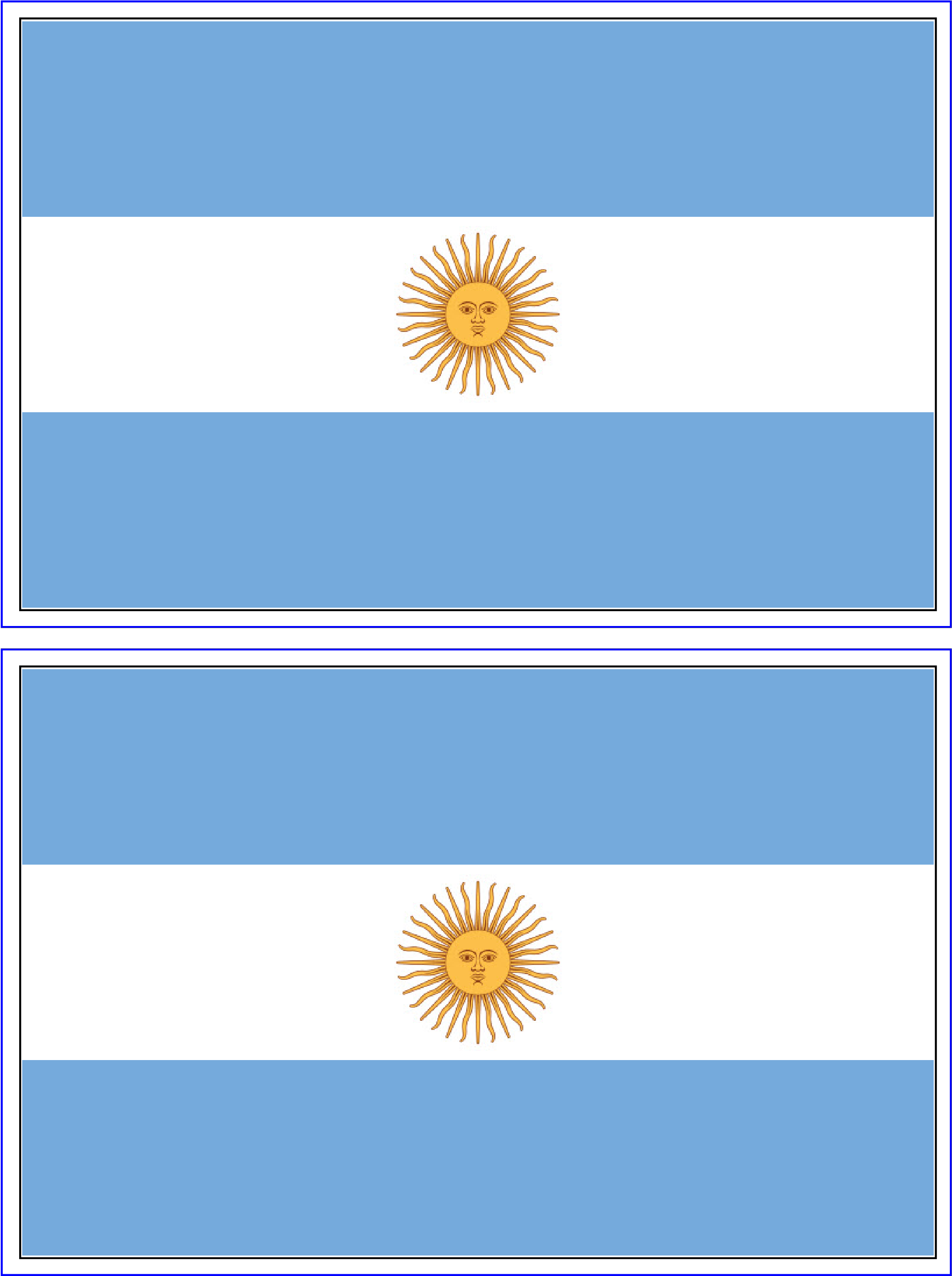 Argentinian Flag Twin Display