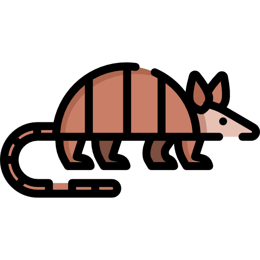 Armadillo Cartoon Illustration