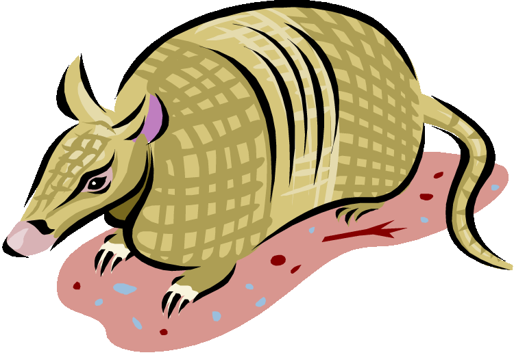 Armadillo Cartoon Illustration