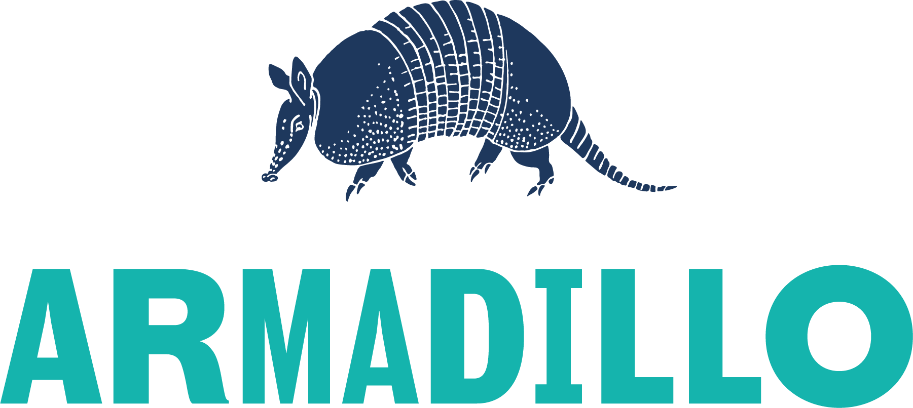 Armadillo Graphic Illustration