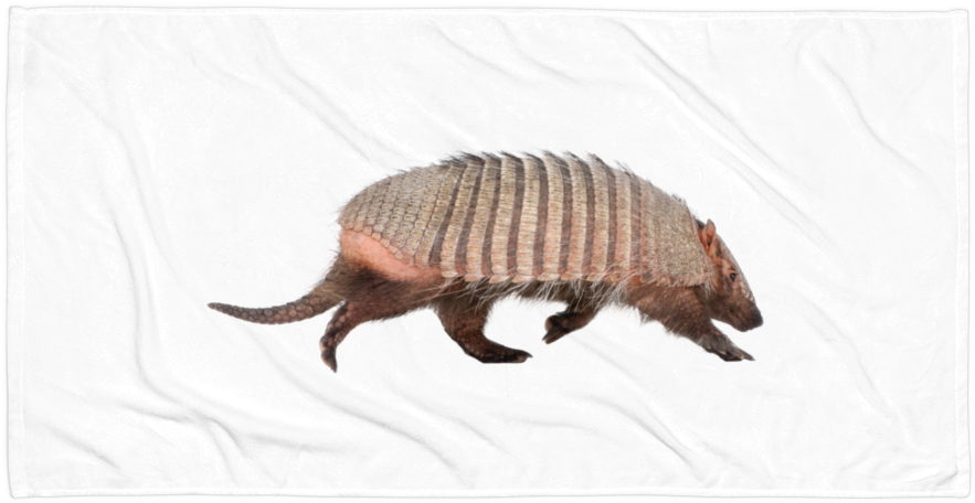 Armadilloon White Background