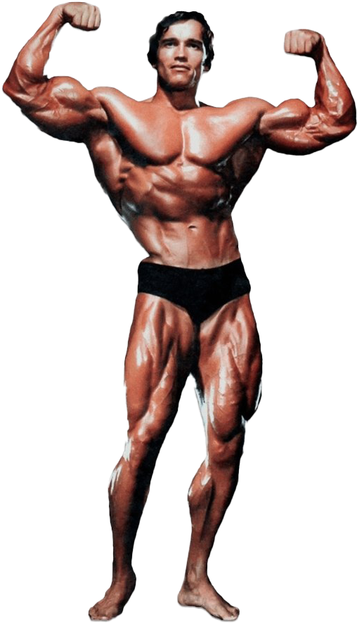 Arnold Schwarzenegger Bodybuilding Pose