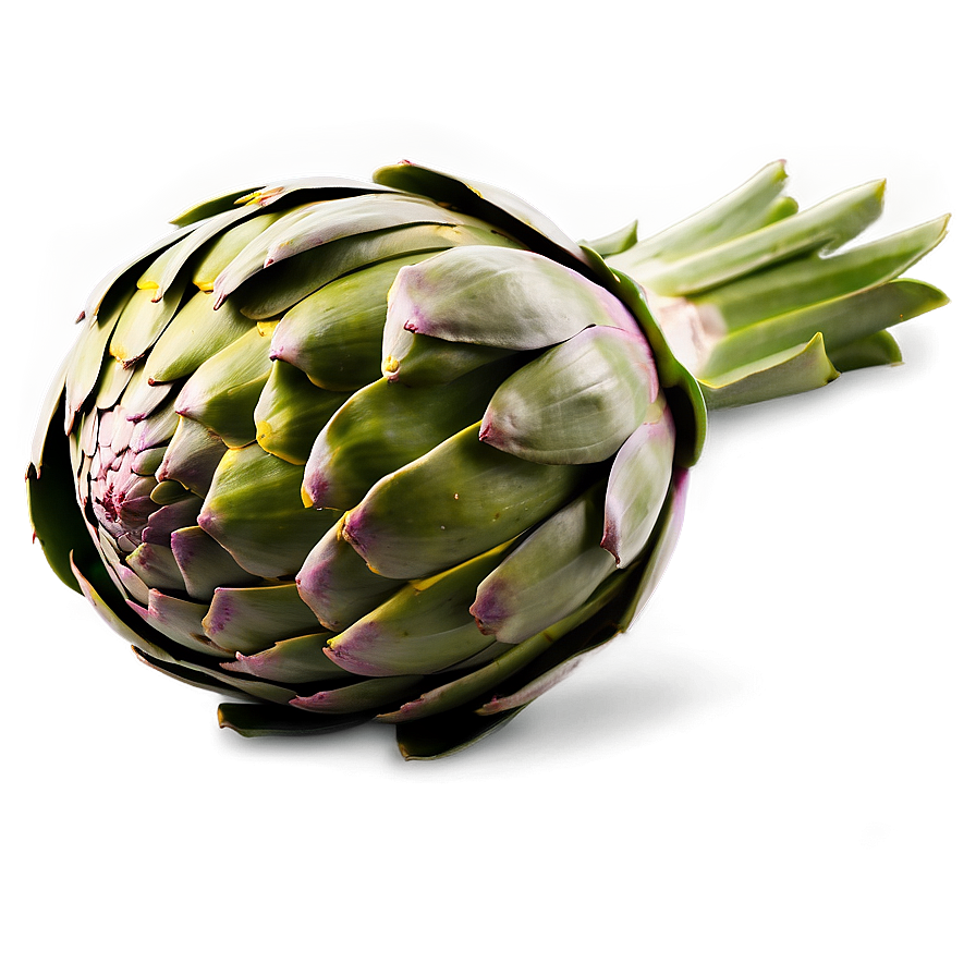 Artichoke D