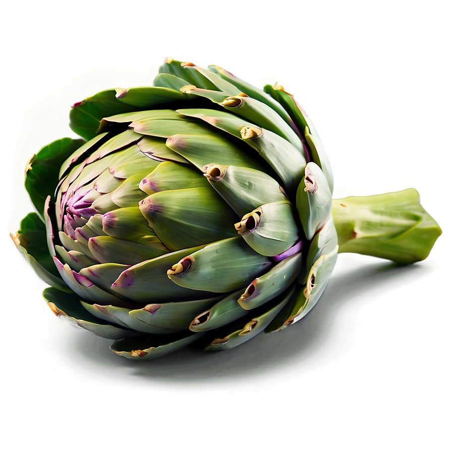 Artichoke Meal Png Rsw25