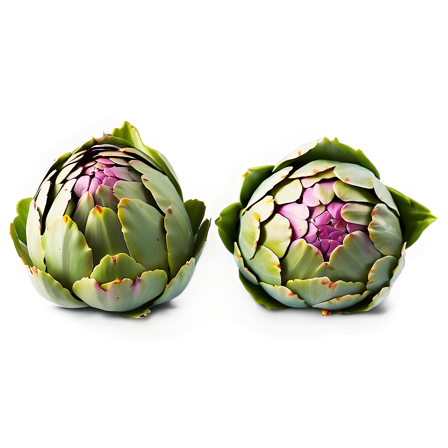 Artichoke Meal Png Uio53