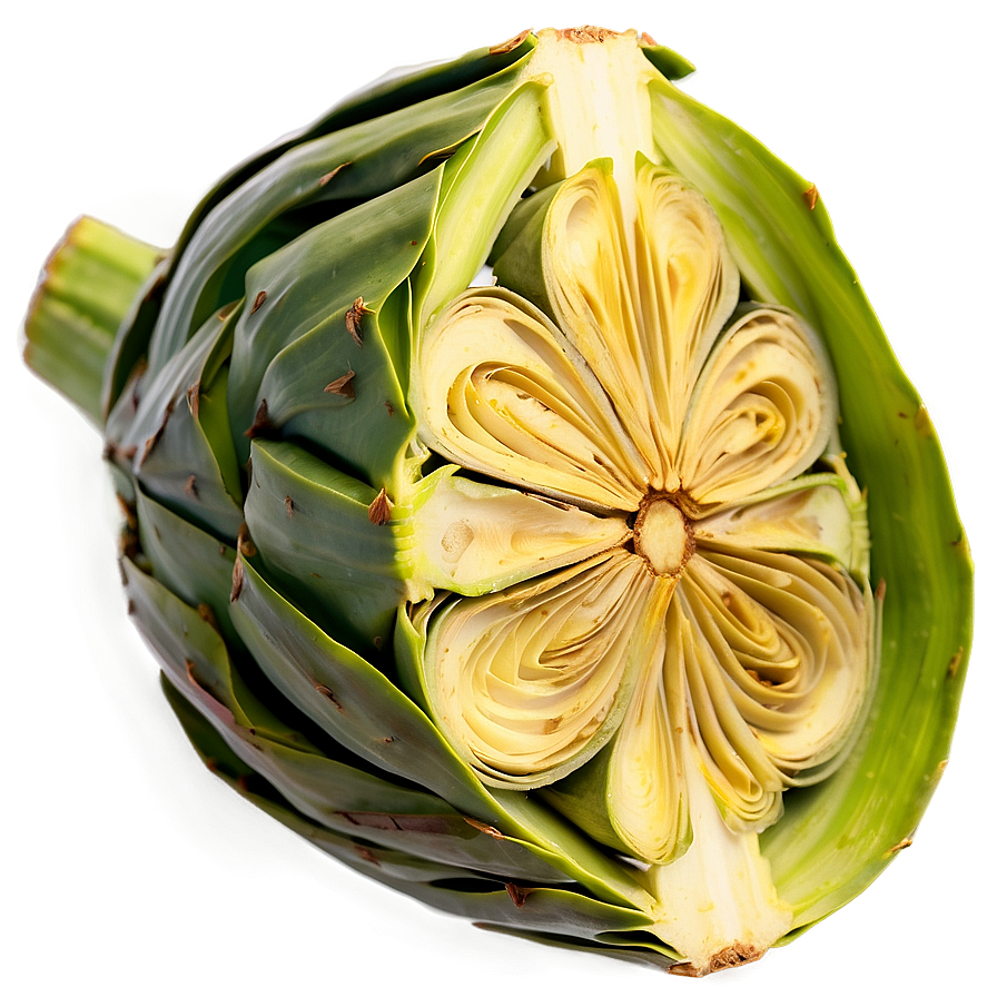 Artichoke Slice Png Dth78