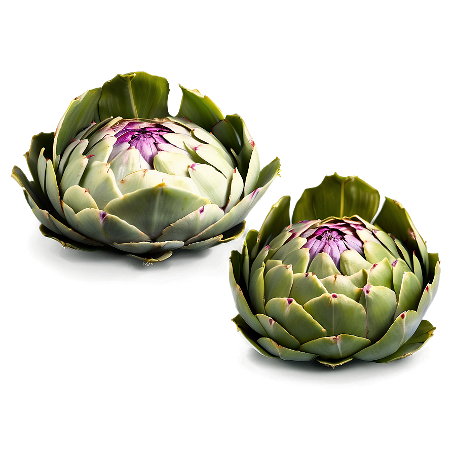 Artichoke Slice Png Riw79