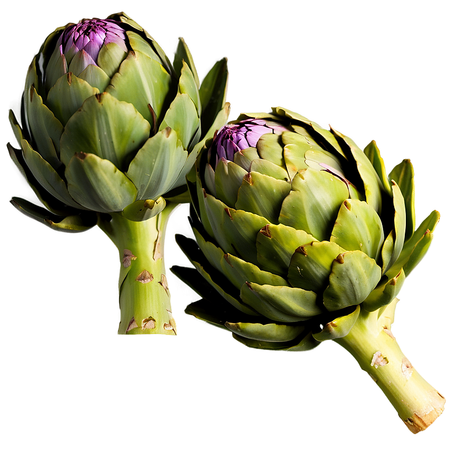 Artichoke Texture Png Vol21